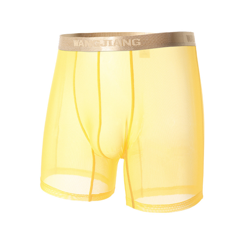 Wangjiang Men's Mesh Boxer Sho - Mesh Sport Boxer review and price